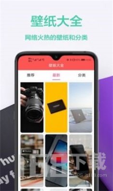 图橙最美壁纸