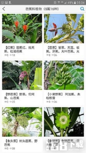 植物大全