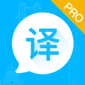 英语翻译大师 