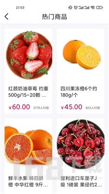 颐烁联盟