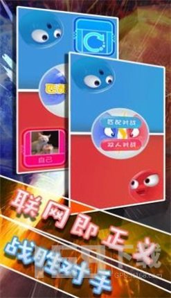 双人大PK
