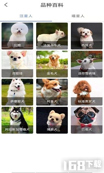 贝贝宠物百科