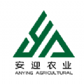 安迎商城 
