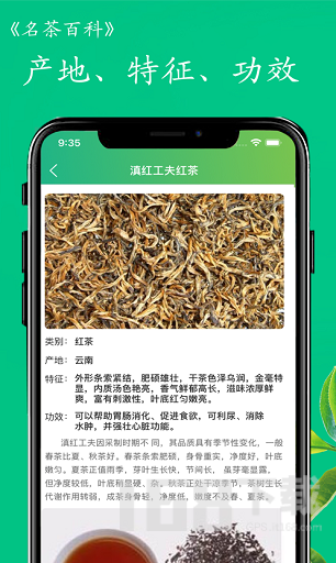 名茶百科