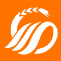 菁九农小维 