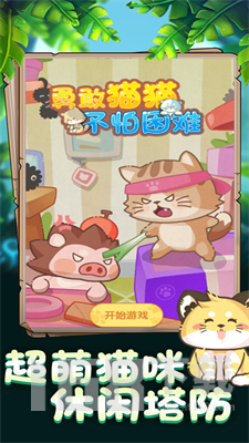 勇敢猫猫不怕困难