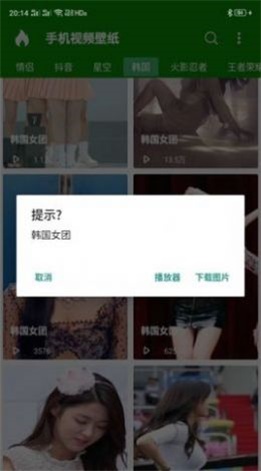手机视频壁纸