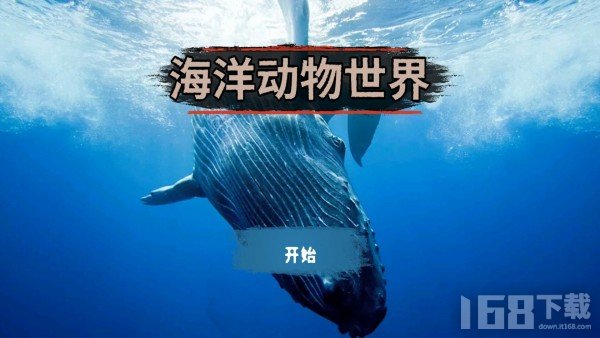 海洋动物世界