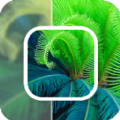 数创模糊照片修复 