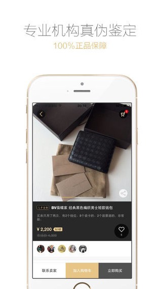 爱丁猫