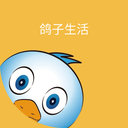 e修鸽老房翻新 