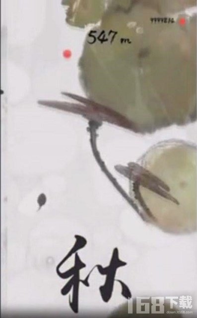 墨虾探蝌鲨鱼