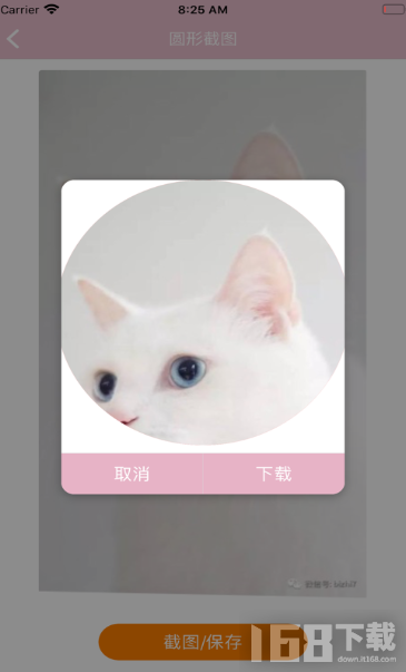 图像元素