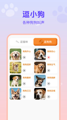 猫狗宠物交流助手