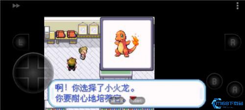 口袋怪兽叶绿版