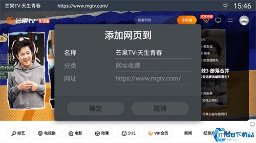 飞视浏览器