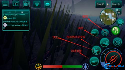 诅咒之岛