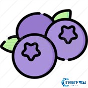 蓝莓音乐