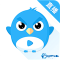 小鹰直播电视版