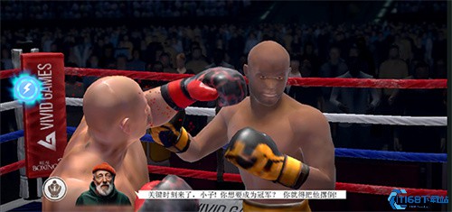 真实拳击2