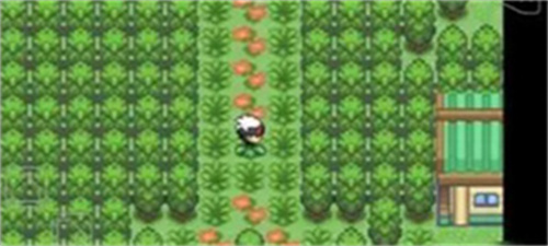 口袋妖怪究极绿宝石小智版