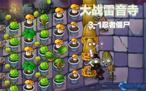 植物大战僵尸西游版