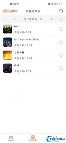 茶杯狐