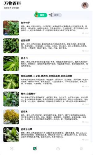 识万物扫一扫