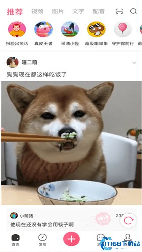 皮皮虾