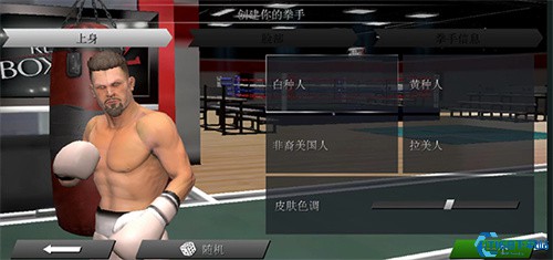 真实拳击2