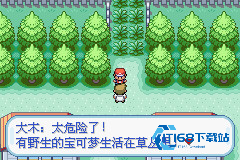 口袋妖怪火红