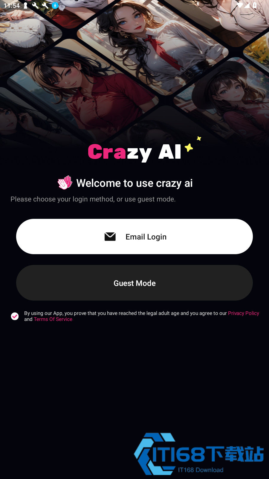 Crazy Girl