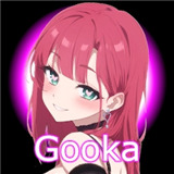 Gooka聊天软件