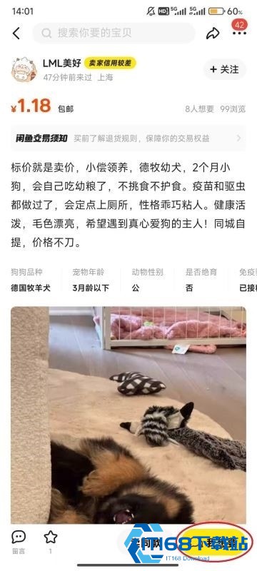 闲鱼