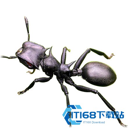 小小蚁国37手游