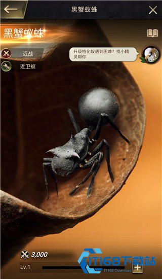 小小蚁国37手游