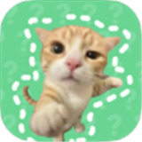 猫meme语音盒子