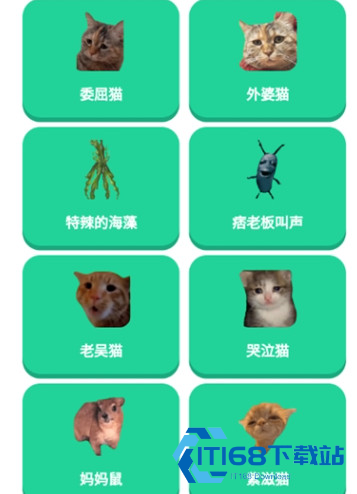 猫meme语音盒子