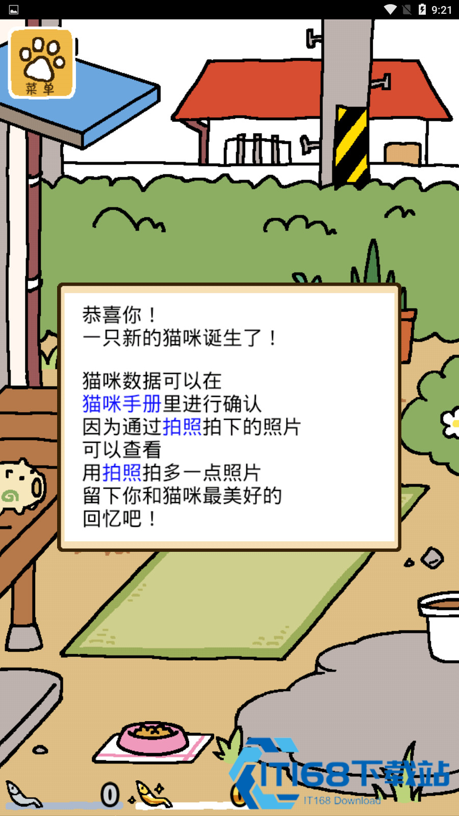猫咪后院2中文版