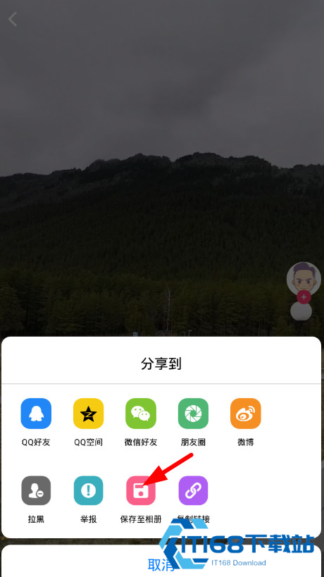 蘑菇短视频