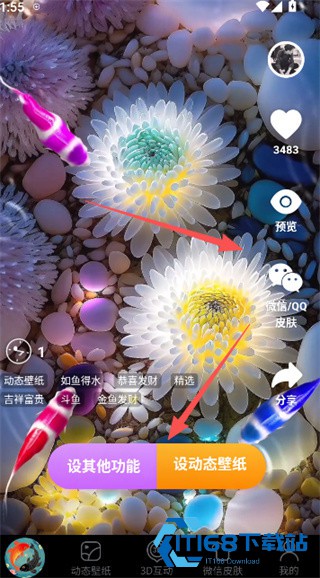 锦鲤金鱼壁纸正式版本下载