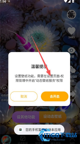 锦鲤金鱼壁纸正式版本下载