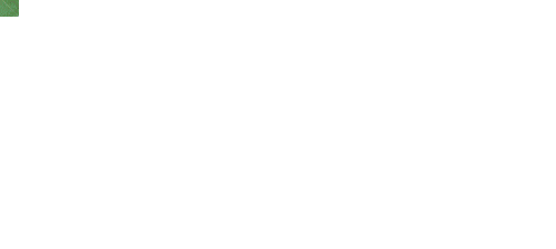 小精灵生存指南手游