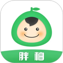胖柚商家端