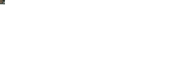 百战天虫手机版