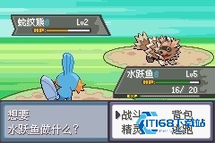 口袋妖怪极光石手游