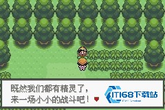 口袋妖怪极光石手游