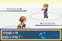 口袋妖怪叶绿版