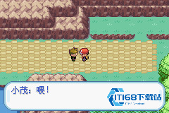 口袋妖怪叶绿版