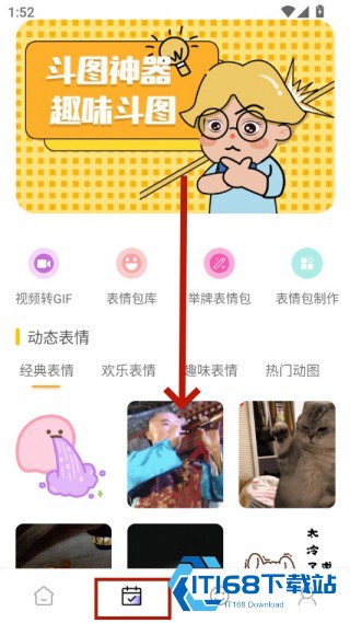Quin壁纸